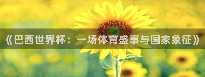 世界杯直播观看：《巴西世界杯：一场体育盛事与国家象征》