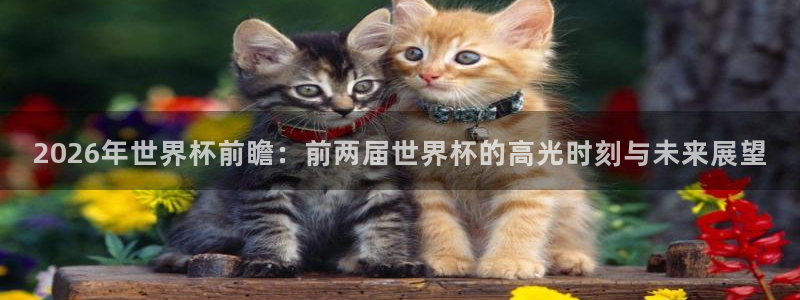 世界杯足球赛：2026年世界杯前瞻：前两届世界杯的高光时刻与未来展望