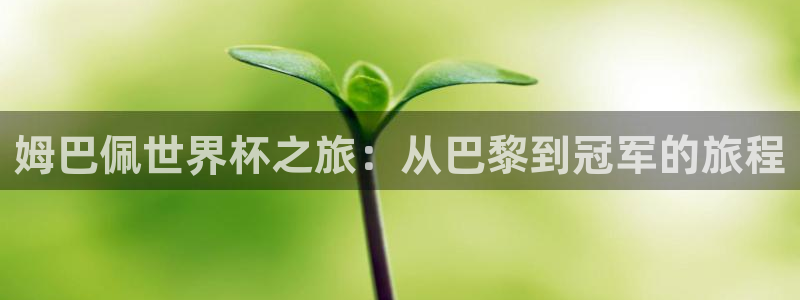 2026世界杯亚洲预选赛赛程：姆巴佩世界杯之旅：从巴黎到冠军的旅程