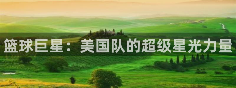 2026世界杯预选赛：篮球巨星：美国队的超级星光力量