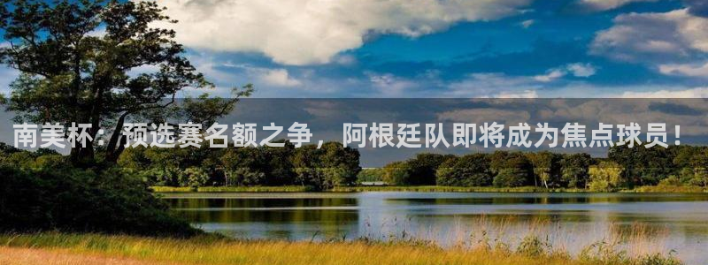 足球世界杯2026：南美杯：预选赛名额之争，阿根廷队即将成为焦点球员！