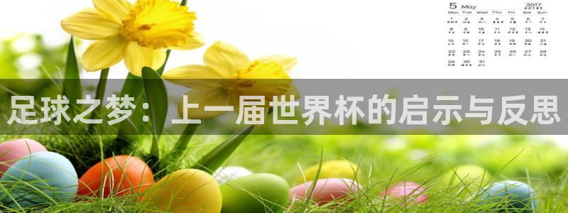 世界杯足球：足球之梦：上一届世界杯的启示与反思