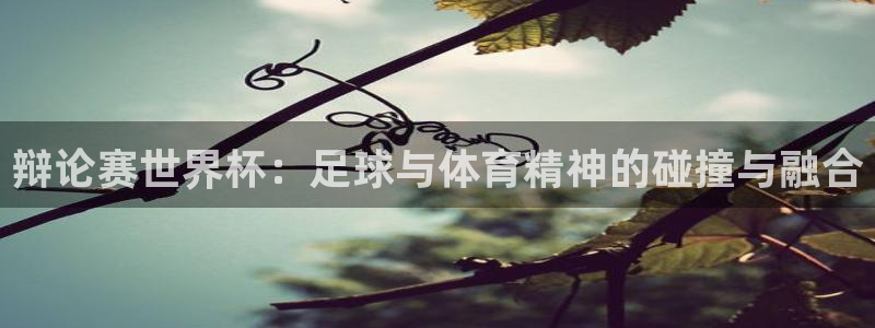 世界杯 中国：辩论赛世界杯：足球与体育精神的碰撞与融合