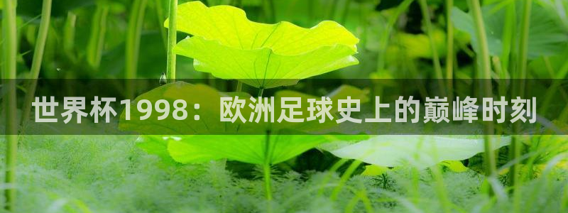 2026葡萄牙杯赛程表：世界杯1998：欧洲足球史上的巅峰时刻