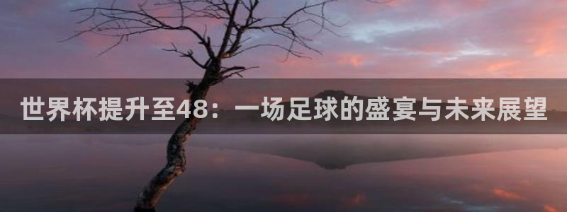2026年世界杯赛程时间表格：世界杯提升至48：一场足球的盛宴与未来展望