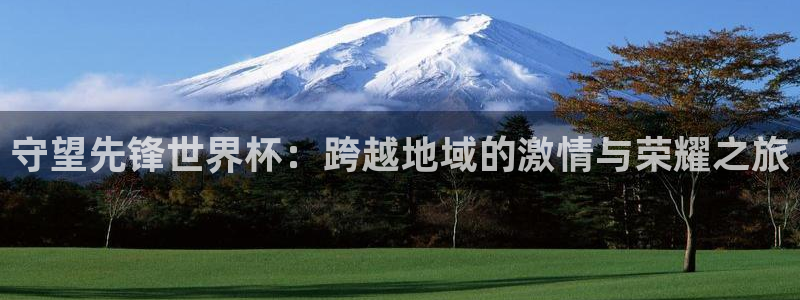 亚洲杯比赛直播：守望先锋世界杯：跨越地域的激情与荣耀之旅