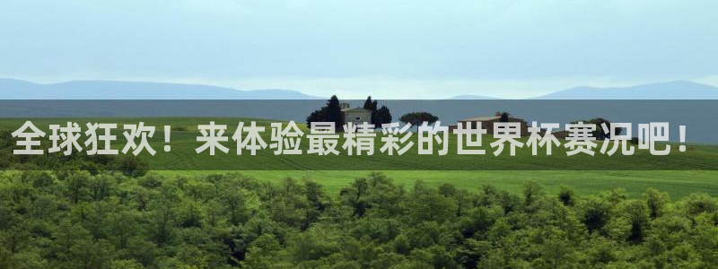 世界杯亚洲区预选赛：全球狂欢！来体验最精彩的世界杯赛况吧！