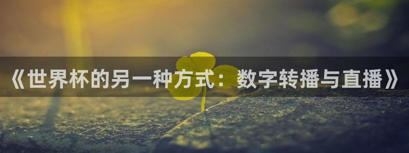 2026年世界杯赛程时间表格：《世界杯的另一种方式：数字转播与直播》