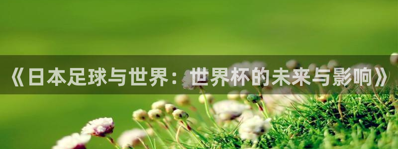 世界杯预选赛:《日本足球与世界:世界杯的未来与影响》