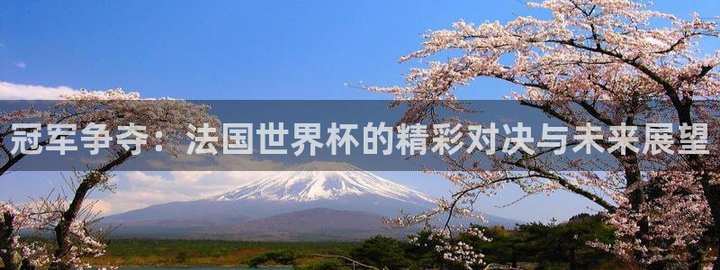 男足世界杯预选赛赛程：冠军争夺：法国世界杯的精彩对决与未来展望