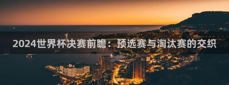 2026世界杯官网:2024世界杯决赛前瞻:预选赛与淘汰赛的交织
