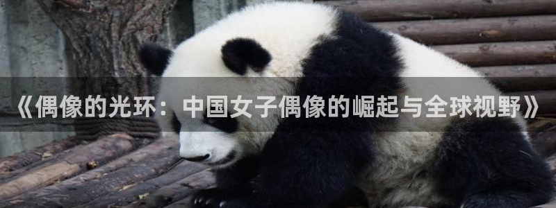 世界杯决赛直播:《偶像的光环:中国女子偶像的崛起与全球视野》
