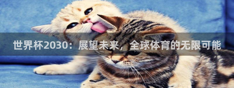 欧洲世界杯预选赛赛程：世界杯2030：展望未来，全球体育的无限可能