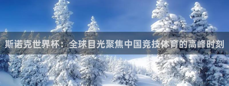 世界杯预选赛：斯诺克世界杯：全球目光聚焦中国竞技体育的高峰时刻
