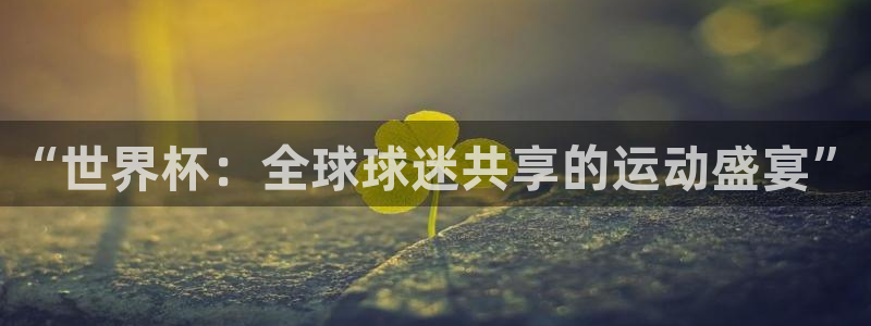 世界杯葡萄牙赛程：“世界杯：全球球迷共享的运动盛宴”