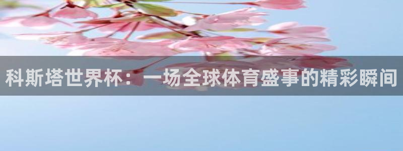 今天所有足球赛程表：科斯塔世界杯：一场全球体育盛事的精彩瞬间