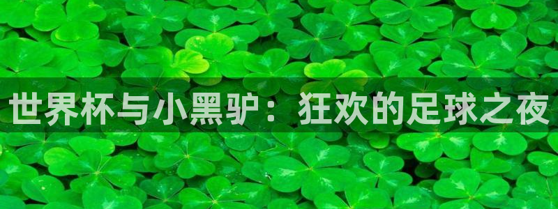 世界杯预选赛2026：世界杯与小黑驴：狂欢的足球之夜